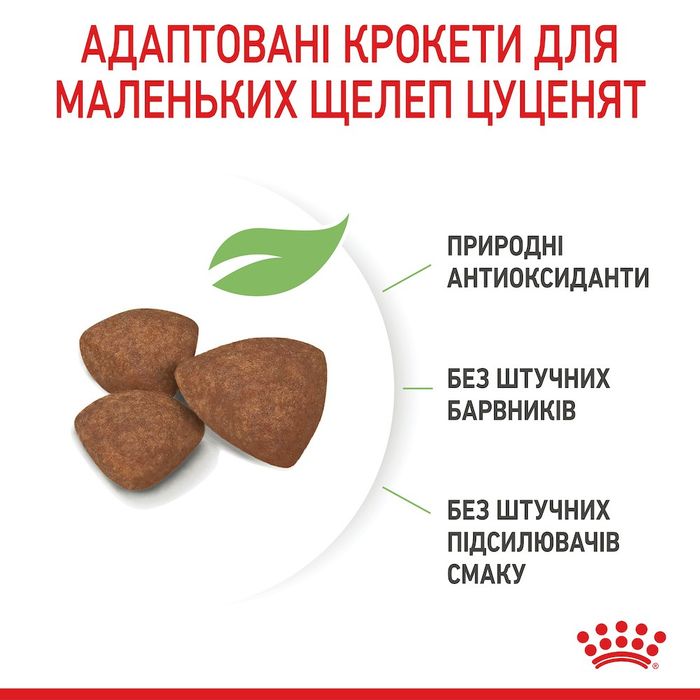 Сухой корм для щенков мелких пород Royal Canin Mini Puppy 800 г - домашняя птица - masterzoo.ua