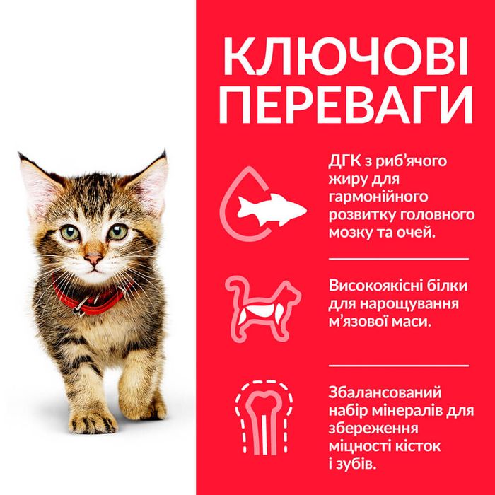 Сухий корм для кошенят Hill's Science Plan Kitten 1,5 кг - тунець - masterzoo.ua