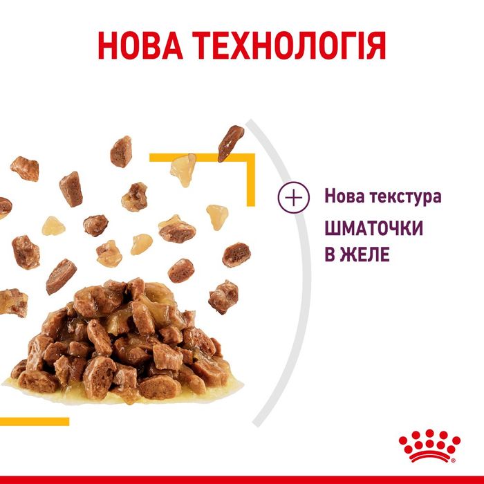 Вологий корм для вибагливих котів Royal Sensory Taste pouch в желе 85 г - masterzoo.ua