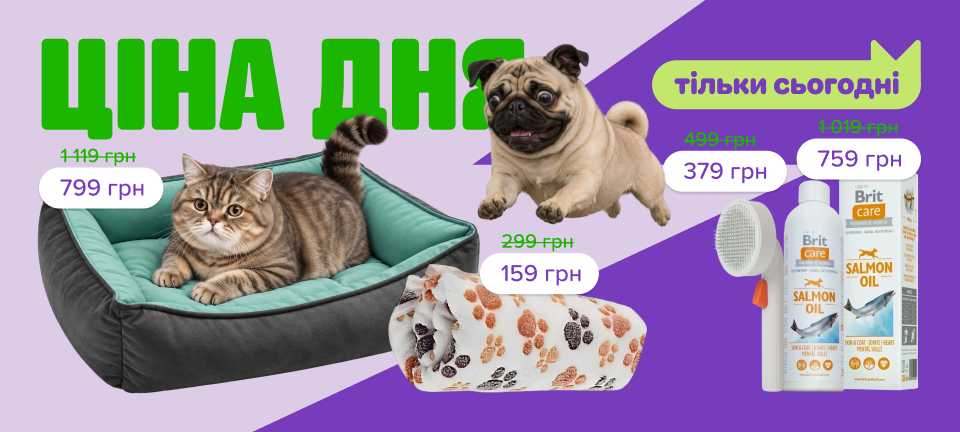 1. Десктоп Товар дня