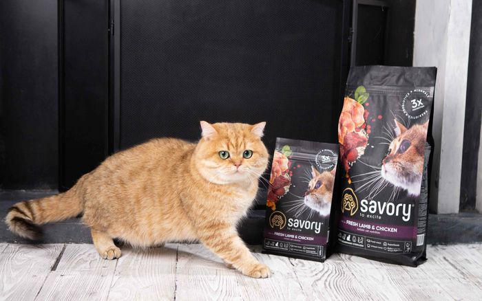 Сухой корм для стерилизованных котов Savory 2 кг (ягненок и курица) - masterzoo.ua