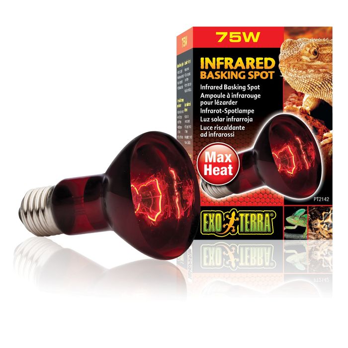 Інфрачервона лампа розжарювання Exo Terra «Infrared Basking Spot» 75 W, E27 (для обігріву) - masterzoo.ua