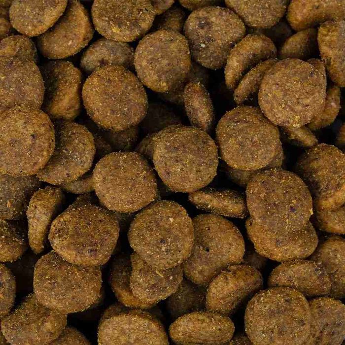 Сухой корм для собак Christopherus Adult Vegetarian 4 кг - горох, тапиока, тыква - masterzoo.ua