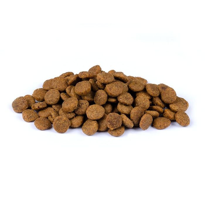 Сухий корм для собак Christopherus Adult Vegetarian 4 кг - горох, тапіока, гарбуз - masterzoo.ua