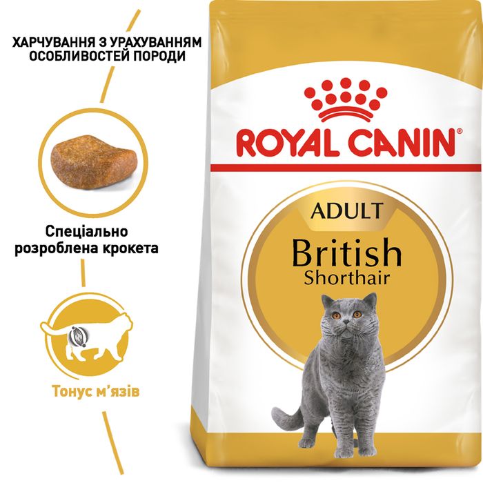 Сухий корм для дорослих котів породи британська короткошерста Royal Canin British Shorthair Adult 10 кг (домашня птиця) - masterzoo.ua