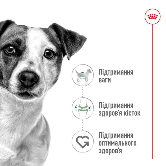 Влажный корм для собак Royal Canin Mini Adult pouch 85 г - masterzoo.ua