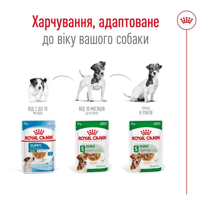 Влажный корм для собак Royal Canin Mini Adult pouch 85 г - masterzoo.ua