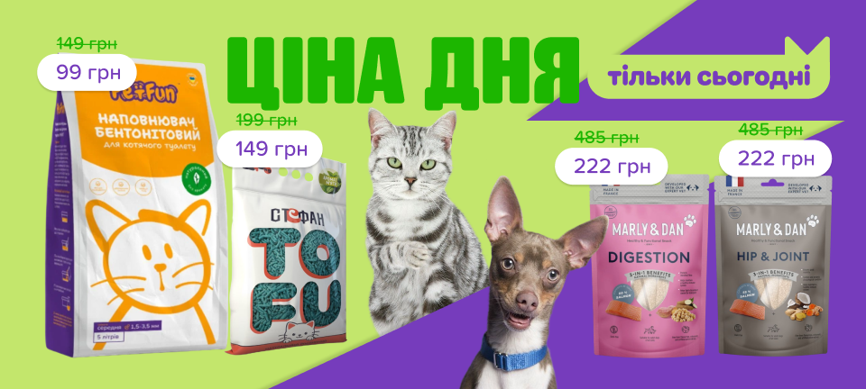 1. Десктоп Товар дня