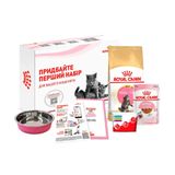 Набор сухого и влажного корма для котят породы мейн-кун Royal Canin Mainecoon Kitten 400 г + 1 шт х 85 г