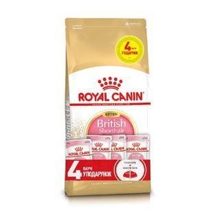 Набор сухого и влажного корма для котят Royal Canin Kitten British Shorthair 2 кг + 4 шт х 85 г - masterzoo.ua