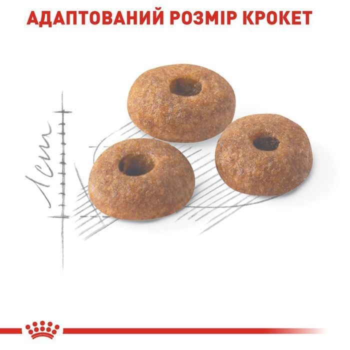 Сухий корм для котів Royal Canin Fit 32 4 кг - masterzoo.ua