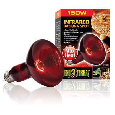 Инфракрасная лампа накаливания Exo Terra «Infrared Basking Spot» 150 W, E27 (для обогрева) - masterzoo.ua