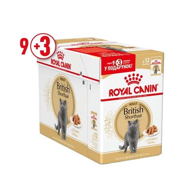 Вологий корм для котів Royal Canin British Shorthair Adult Gravy pouch 9+3 шт х 85 г - masterzoo.ua