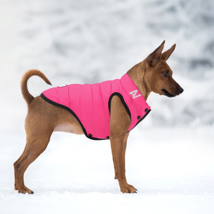 Курточка для собак Collar AiryVest ONE XS-22 - masterzoo.ua