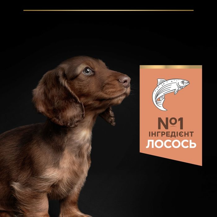 Сухий корм для цуценят Pro Plan Small and Mini Puppy Sensitive Skin 3 кг - лосось - masterzoo.ua