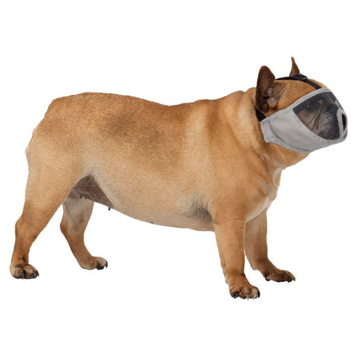 Trixie Muzzle намордник для собак S - сірий - masterzoo.ua