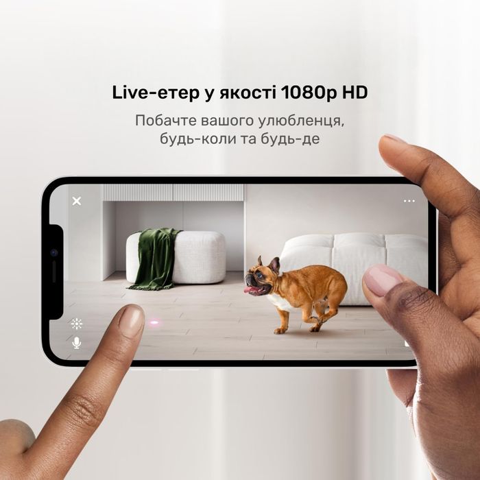 Интерактивная HD-камера  Petcube Play 2 видеонаблюдение за домашними любимцами - masterzoo.ua