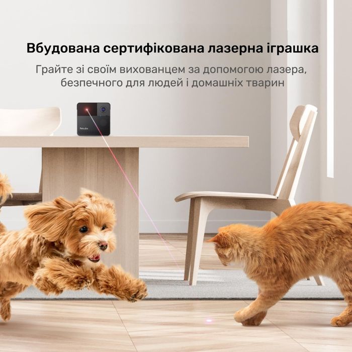 Інтерактивна HD-камера  Petcube Play 2 відеоспостереження за домашніми улюбленцями - masterzoo.ua