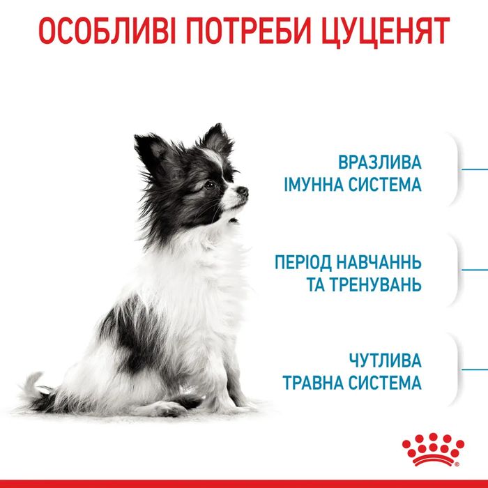 Сухий корм для цуценят Royal Canin X-Small Puppy 1,5 кг + 500 г - домашня птиця - masterzoo.ua