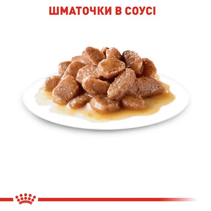 Вологий корм для котів Royal Canin Digest Sensitive Gravy pouch 9+3 шт х 85 г - masterzoo.ua