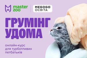 &laquo;Грумінг удома: онлайн-курс для турботливих петбатьків&raquo; від MasterZoo у вільному доступі на MEGOGO Освіта