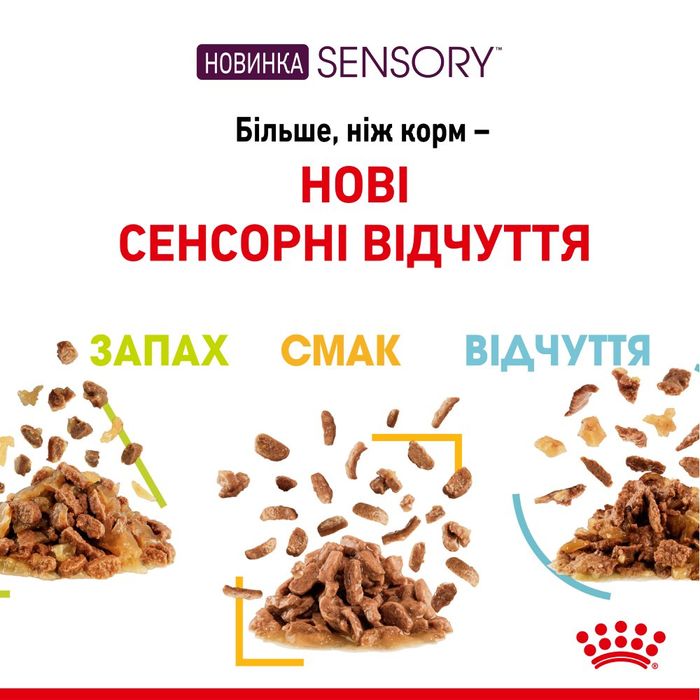 Вологий корм для котів Royal Canin Sensory Feel Jelly pouch 9+3 шт х 85 г - masterzoo.ua