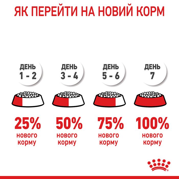 Сухий корм для кошенят Royal Canin Kitten 3,2 кг + 800 г - masterzoo.ua