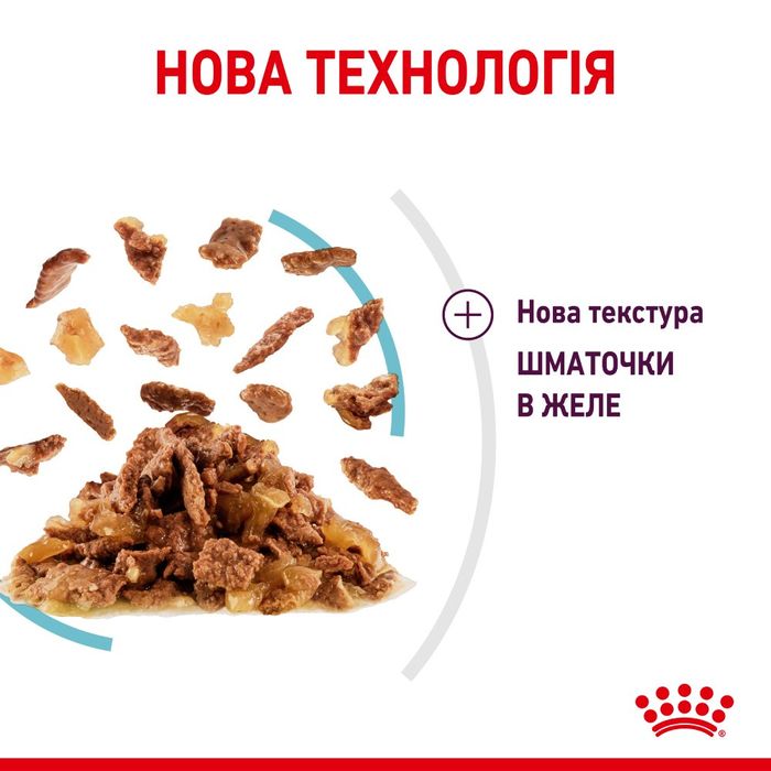 Влажный корм для котов Royal Canin Sensory Feel Jelly pouch 9+3 шт х 85 г - masterzoo.ua