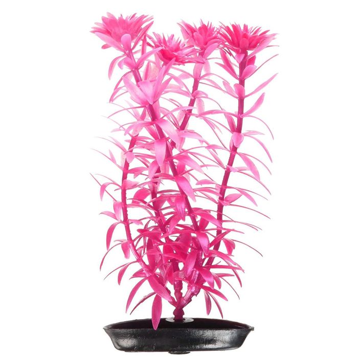 Декорація для акваріума Marina AquaScaper рослина «Anacharis Pink-Red» 12,5 см (пластик) - masterzoo.ua