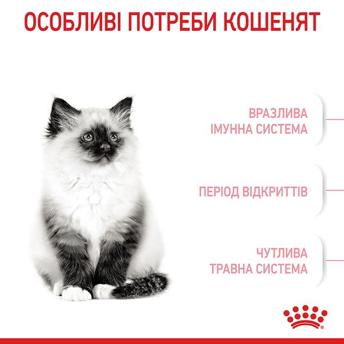 Сухий корм для кошенят Royal Canin Kitten 3,2 кг + 800 г - masterzoo.ua