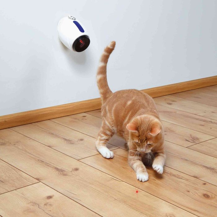 Игрушка для кошек Trixie Лазерная указка «Moving Light» 11 см (пластик) - masterzoo.ua