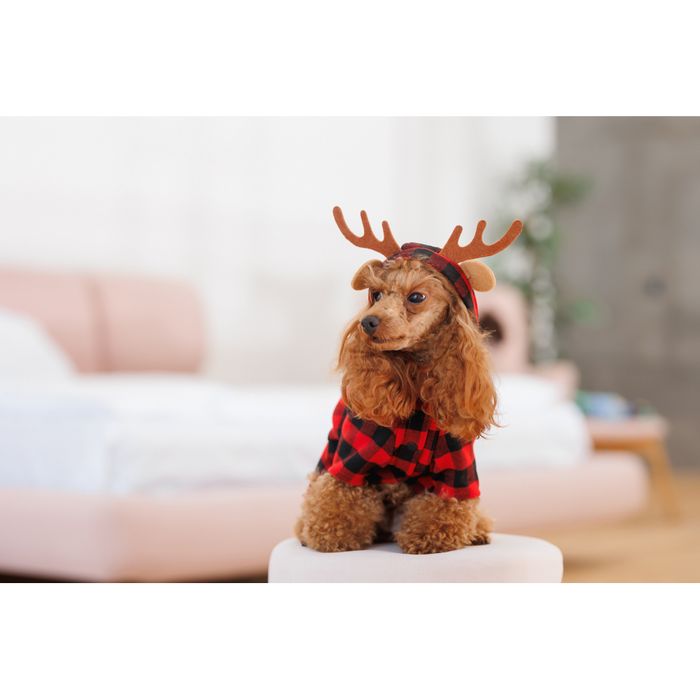 Костюм для собак Pet Fashion Xmas М - masterzoo.ua