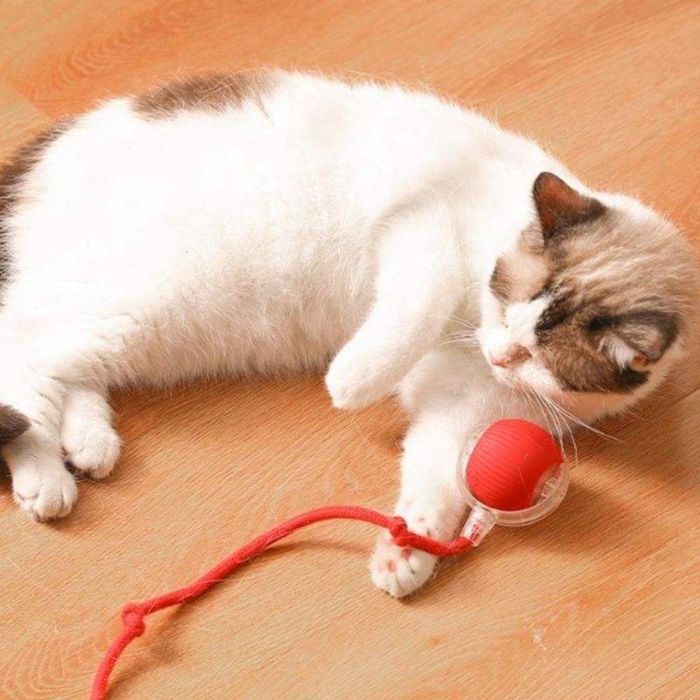 Іграшка для котів Me&Pet М'яч з мотузкою 5 см - червоний - masterzoo.ua