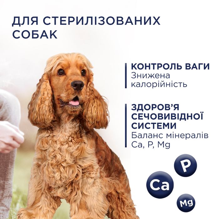 Сухой корм для собак Club 4 Paws Premium Adult Medium & Large Breeds Light 5 кг - индейка - masterzoo.ua