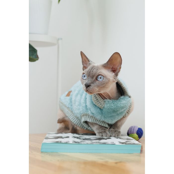 Светр для котів Pet Fashion Tim XS - masterzoo.ua