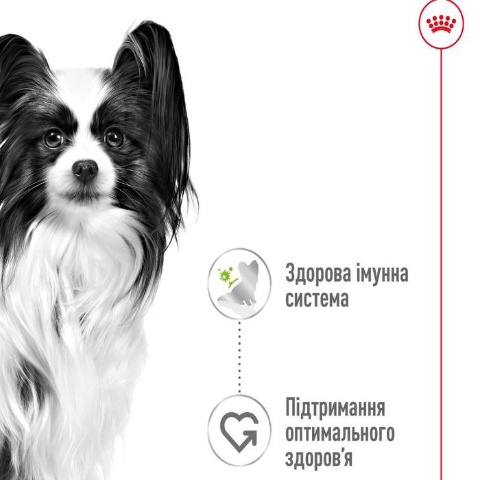 Вологий корм для собак Royal Canin X-Small Adult pouch 85 г - masterzoo.ua