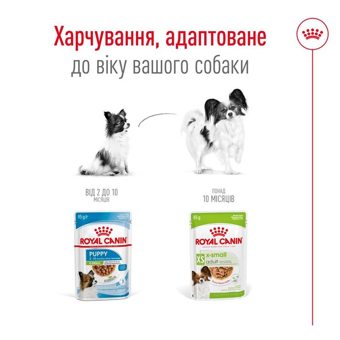 Вологий корм для собак Royal Canin X-Small Adult pouch 85 г - masterzoo.ua