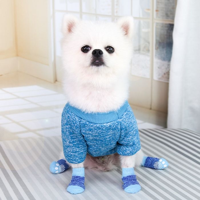 Шкарпетки для собак YIWU Non Skid сині S - masterzoo.ua