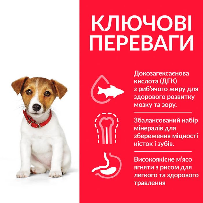 Сухий корм для цуценят Hill’s Science Plan Puppy Smal&Mini 300г - курка - masterzoo.ua