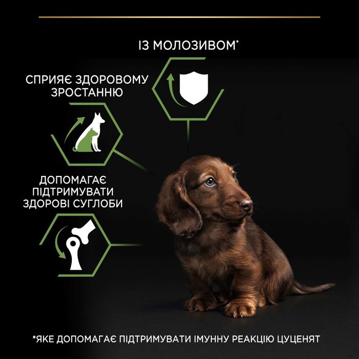 Сухий корм для цуценят та молодих собак Pro Plan Puppy Small & Mini 7 кг - курка - masterzoo.ua