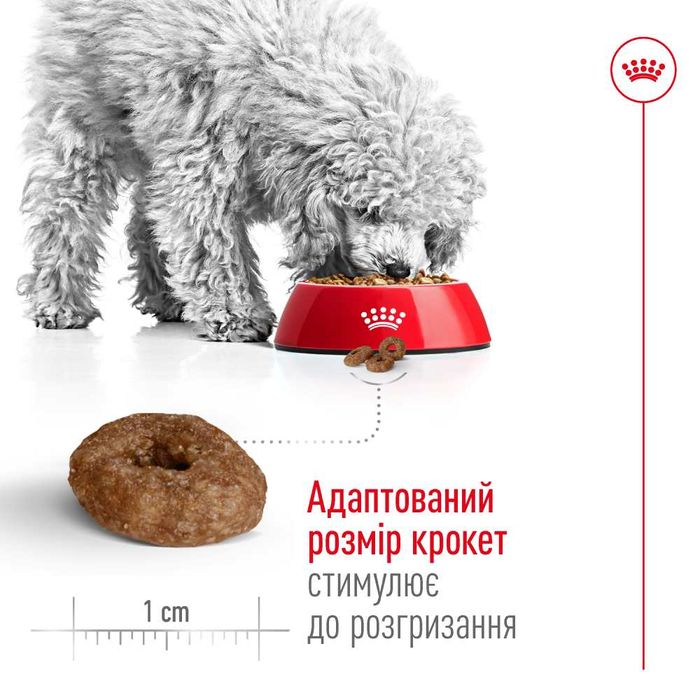 Сухой корм для собак Royal Canin Mini Ageing 12+ 1,5 кг - masterzoo.ua