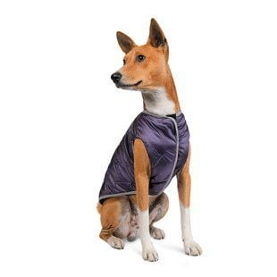 Pet Fashion Calm жилет для собак XХS - masterzoo.ua
