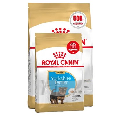 Сухий корм для цуценят Royal Canin Yorkshire Puppy 2 кг - masterzoo.ua