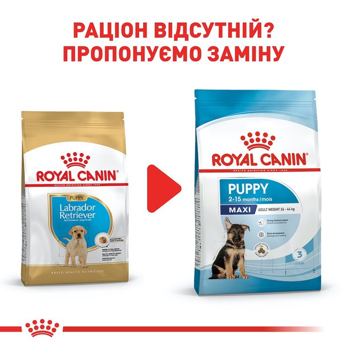 Корм сухий для цуценят Лабрадора Royal Canin Labrador Retriever Puppy 3 кг - домашня птиця - masterzoo.ua