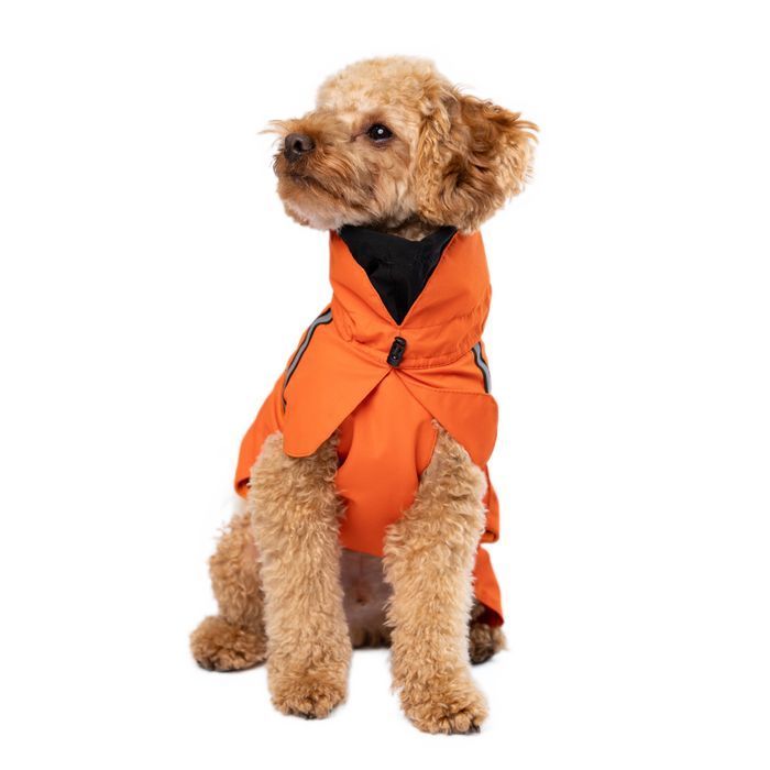 Дощовик для собак Noble Pet Rio L - masterzoo.ua