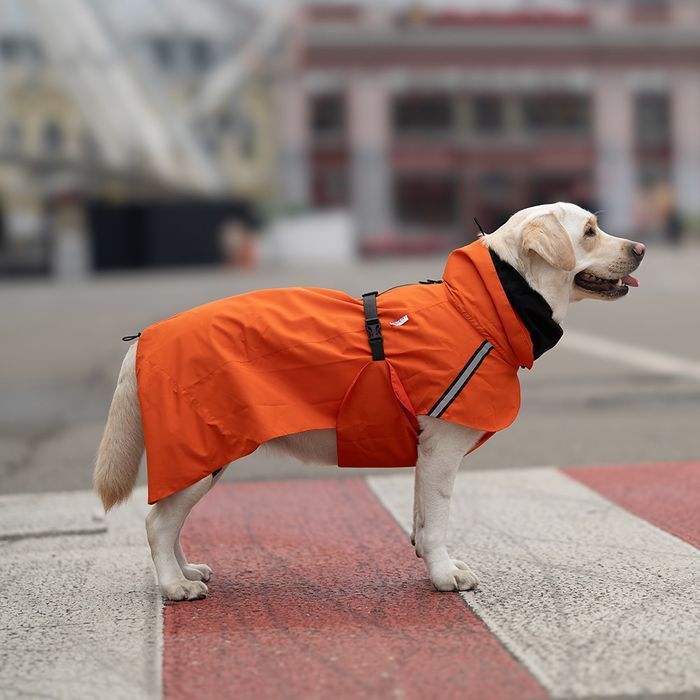 Дощовик для собак Noble Pet Rio L - masterzoo.ua