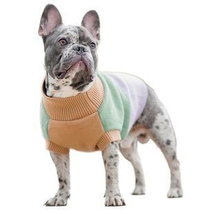 Свитер для собак Pet Fashion Rich S-3 - masterzoo.ua
