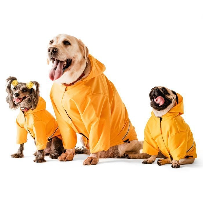 Noble Pet Moss дощовик для собак XL-Short - masterzoo.ua