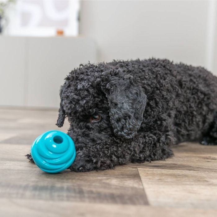 Іграшка для собак Trixie Super Strong М'яч 7,5 см - бірюзовий - masterzoo.ua
