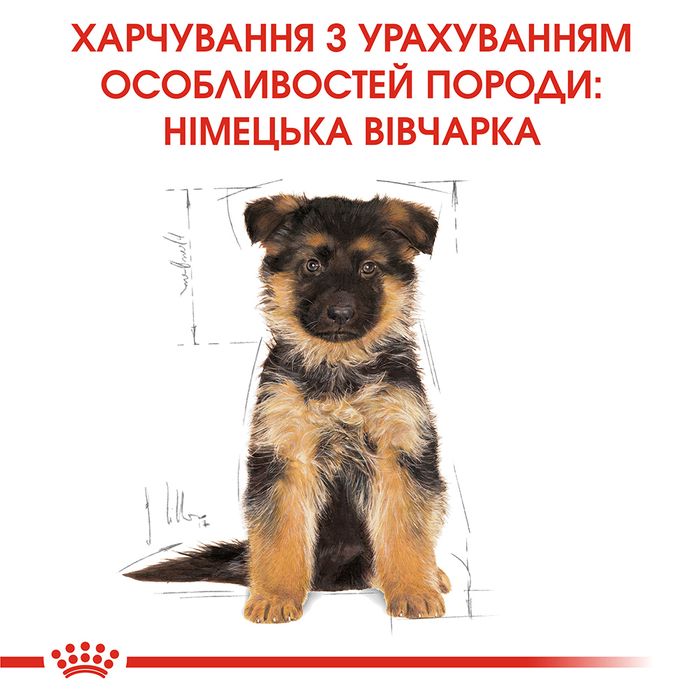 Сухий корм для цуценят породи німецька вівчарка Royal Canin German Shepherd Puppy 3 кг - домашня птиця - masterzoo.ua